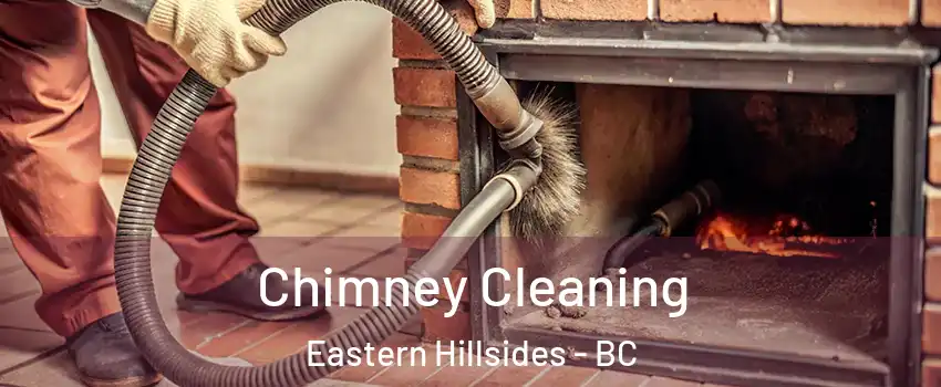 Chimney Cleaning Eastern Hillsides - BC