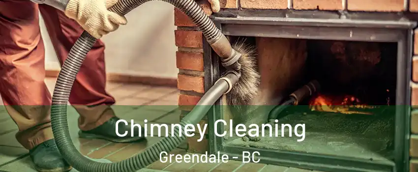 Chimney Cleaning Greendale - BC