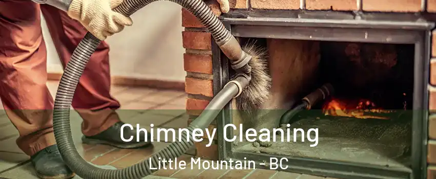  Chimney Cleaning Little Mountain - BC