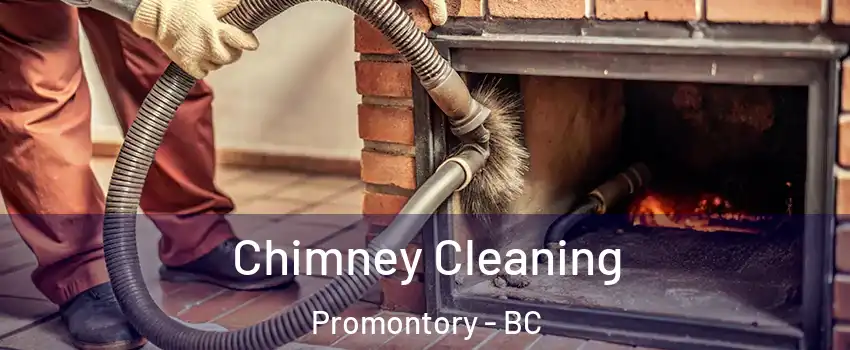 Chimney Cleaning Promontory - BC