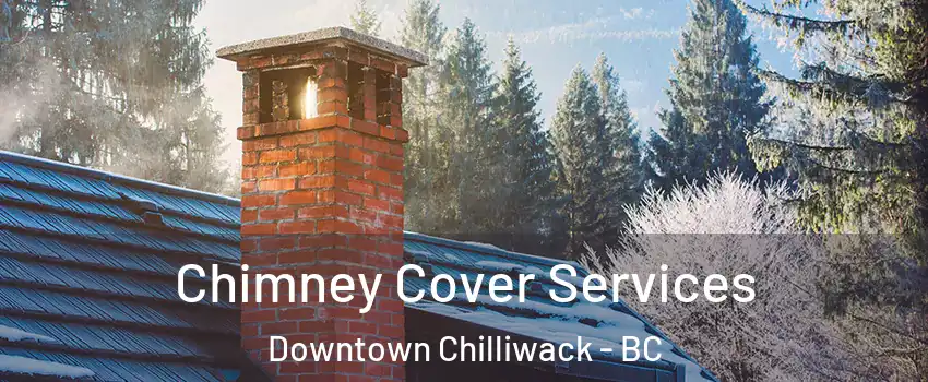 Chimney Cover Services Downtown Chilliwack - BC