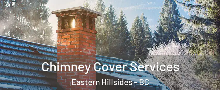  Chimney Cover Services Eastern Hillsides - BC