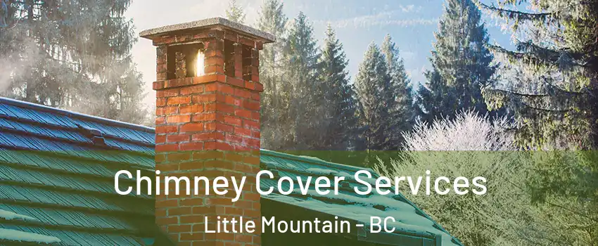 Chimney Cover Services Little Mountain - BC
