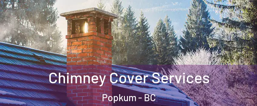Chimney Cover Services Popkum - BC