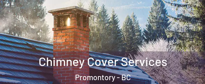 Chimney Cover Services Promontory - BC