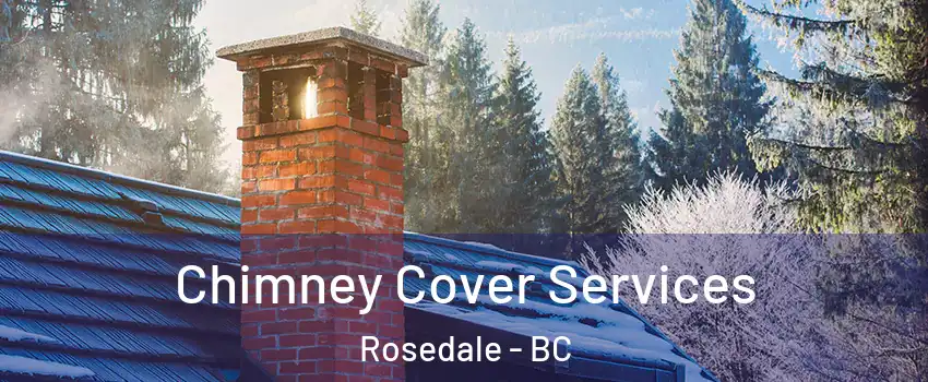 Chimney Cover Services Rosedale - BC