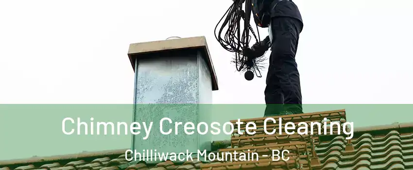 Chimney Creosote Cleaning Chilliwack Mountain - BC
