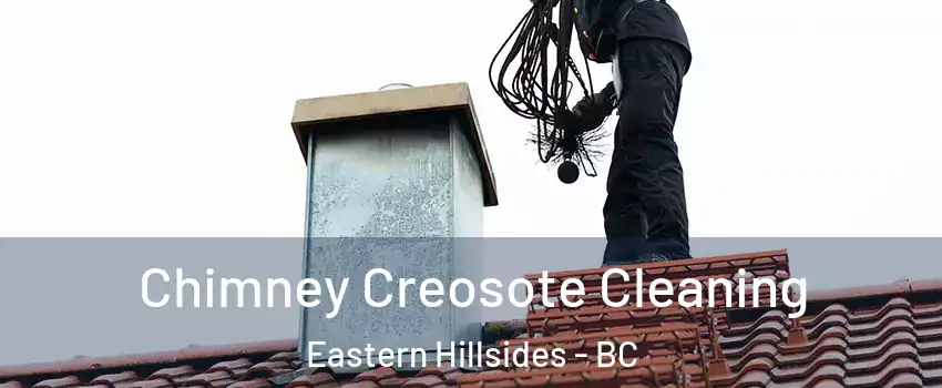 Chimney Creosote Cleaning Eastern Hillsides - BC