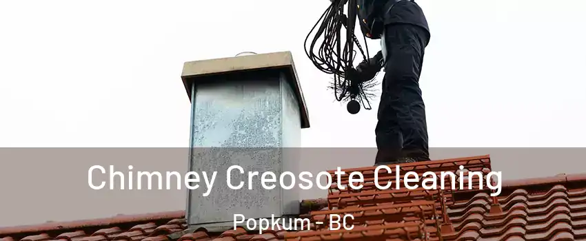 Chimney Creosote Cleaning Popkum - BC