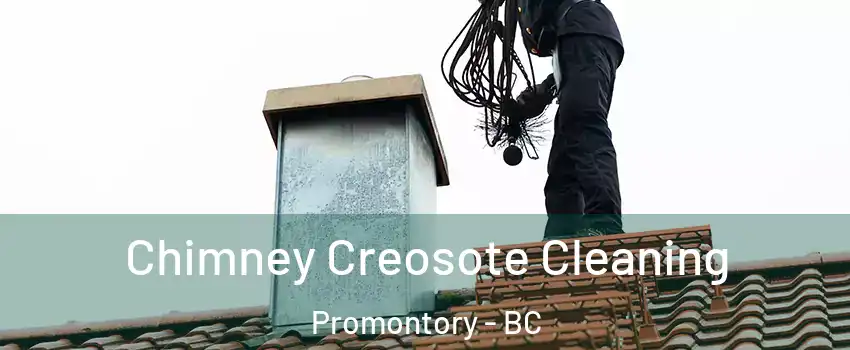 Chimney Creosote Cleaning Promontory - BC