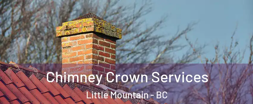  Chimney Crown Services Little Mountain - BC