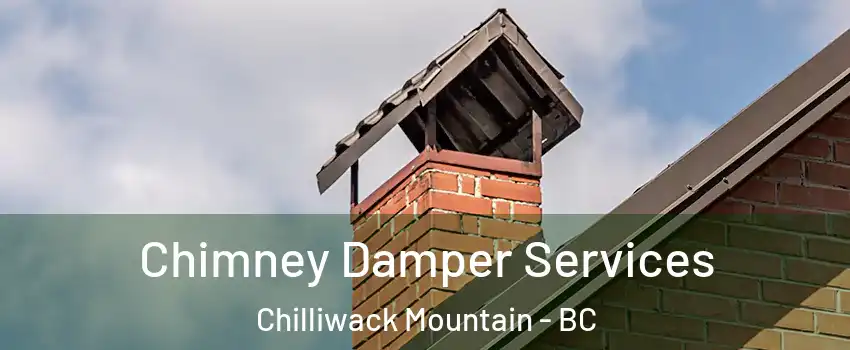  Chimney Damper Services Chilliwack Mountain - BC