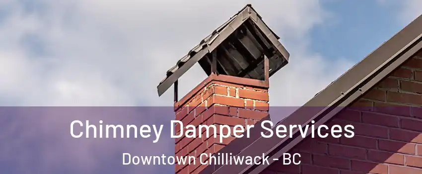  Chimney Damper Services Downtown Chilliwack - BC