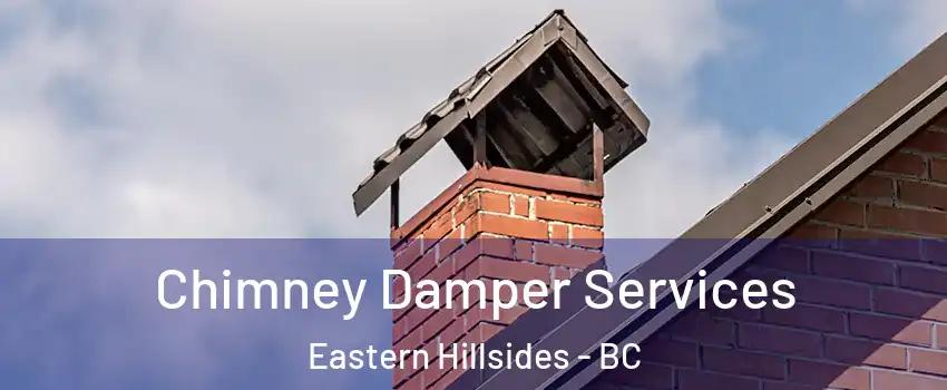 Chimney Damper Services Eastern Hillsides - BC