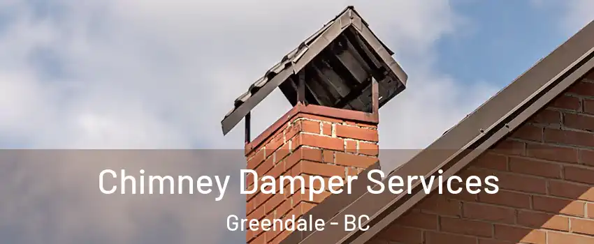 Chimney Damper Services Greendale - BC