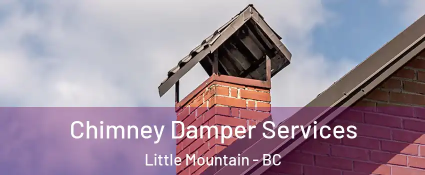 Chimney Damper Services Little Mountain - BC