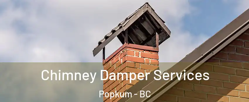 Chimney Damper Services Popkum - BC