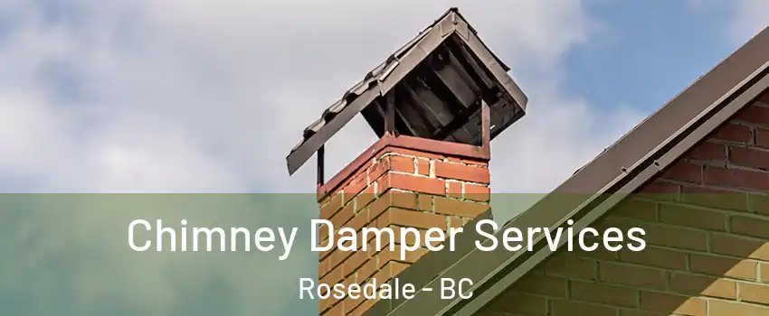 Chimney Damper Services Rosedale - BC