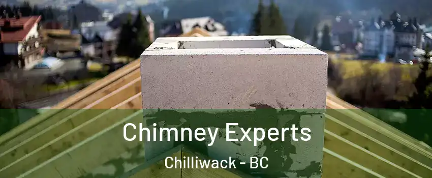 Chimney Experts Chilliwack - BC