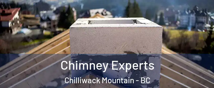  Chimney Experts Chilliwack Mountain - BC