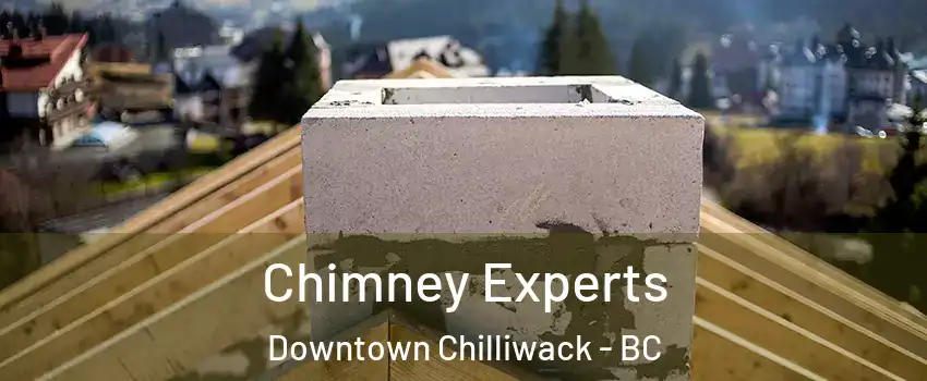  Chimney Experts Downtown Chilliwack - BC