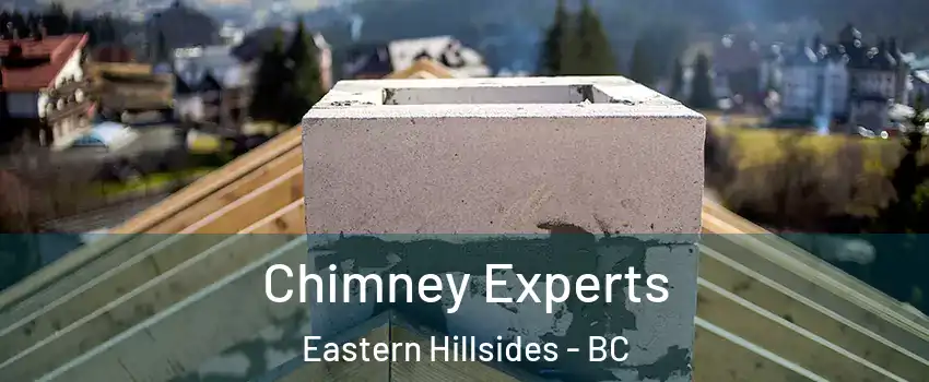 Chimney Experts Eastern Hillsides - BC