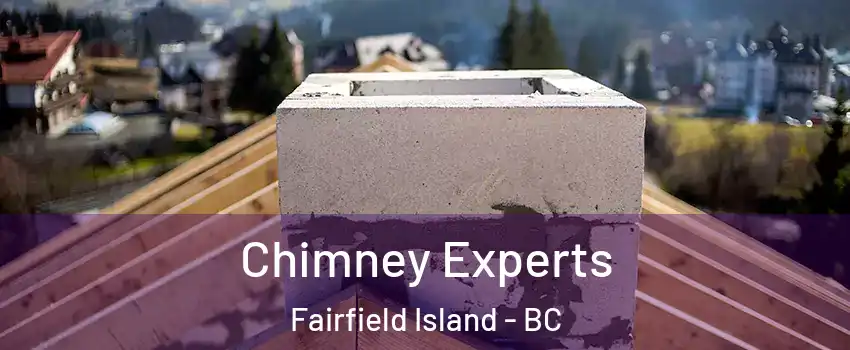 Chimney Experts Fairfield Island - BC