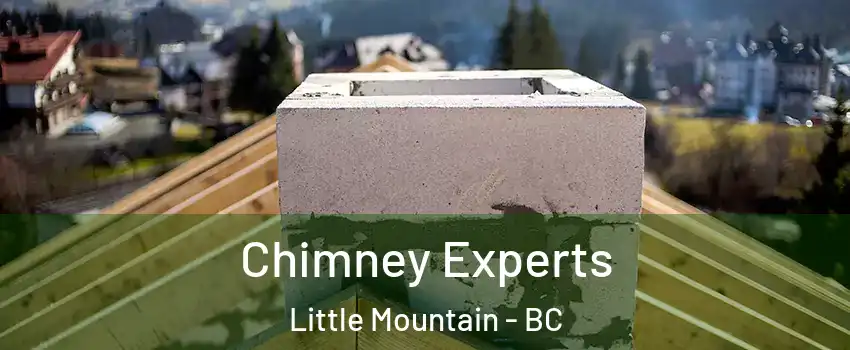 Chimney Experts Little Mountain - BC