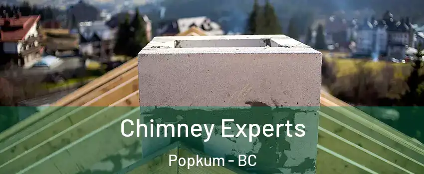 Chimney Experts Popkum - BC
