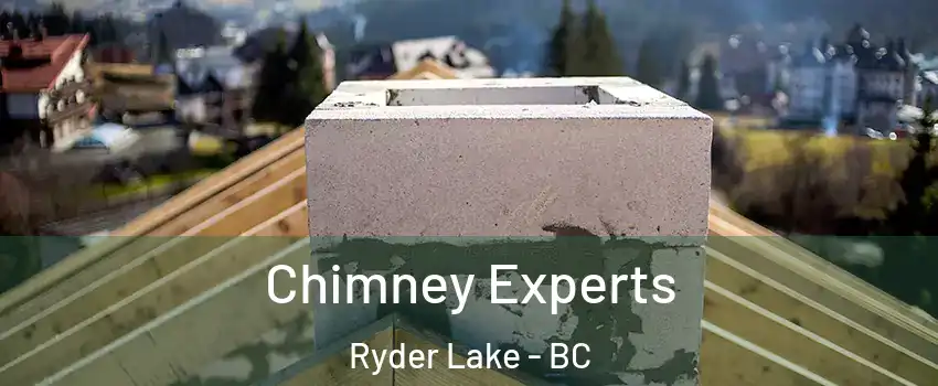  Chimney Experts Ryder Lake - BC