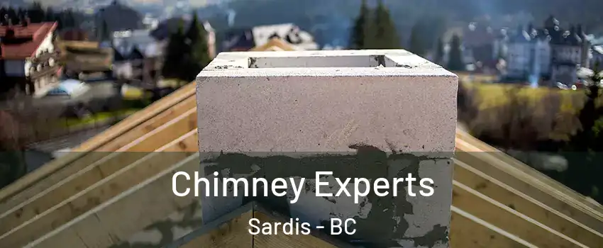 Chimney Experts Sardis - BC