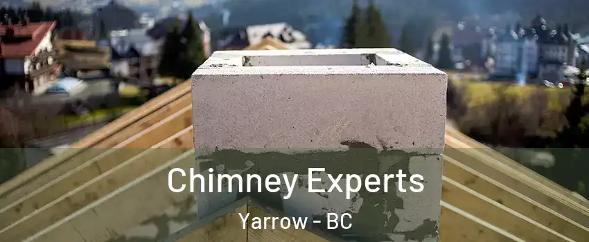 Chimney Experts Yarrow - BC