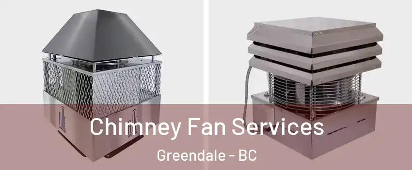 Chimney Fan Services Greendale - BC