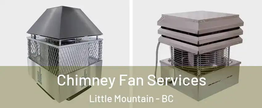Chimney Fan Services Little Mountain - BC