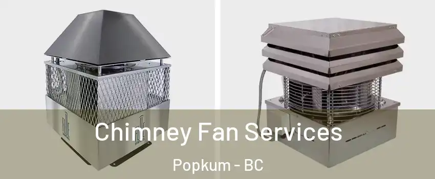 Chimney Fan Services Popkum - BC