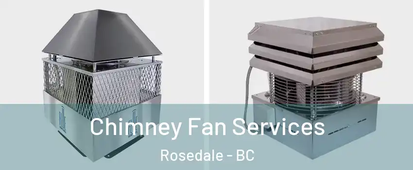  Chimney Fan Services Rosedale - BC