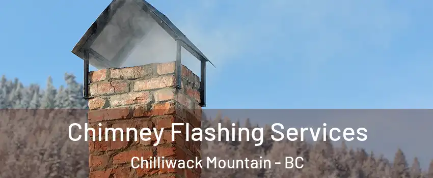 Chimney Flashing Services Chilliwack Mountain - BC