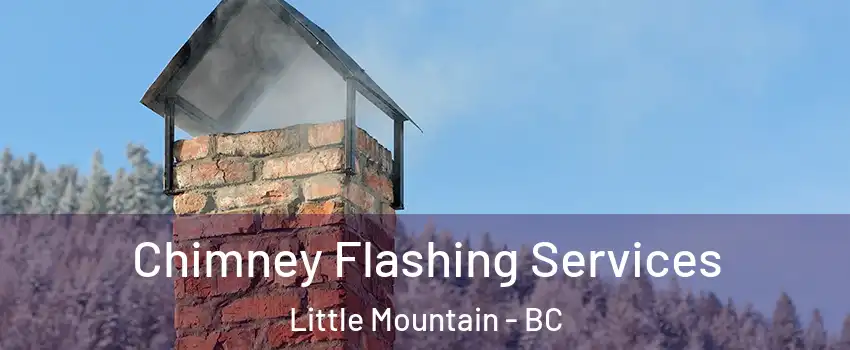 Chimney Flashing Services Little Mountain - BC