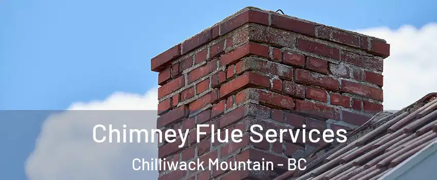  Chimney Flue Services Chilliwack Mountain - BC