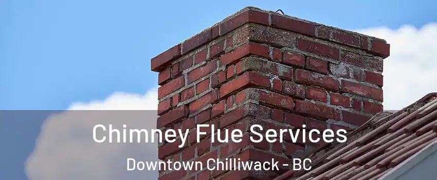  Chimney Flue Services Downtown Chilliwack - BC