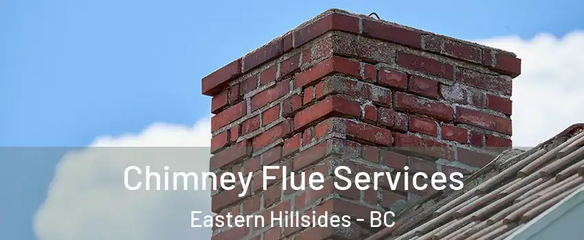 Chimney Flue Services Eastern Hillsides - BC