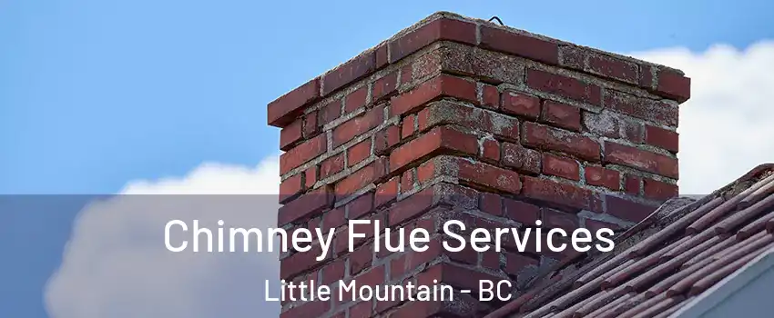 Chimney Flue Services Little Mountain - BC
