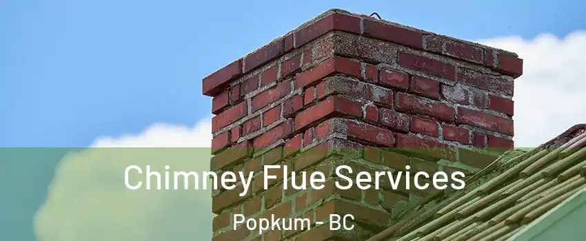 Chimney Flue Services Popkum - BC