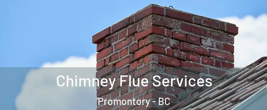  Chimney Flue Services Promontory - BC