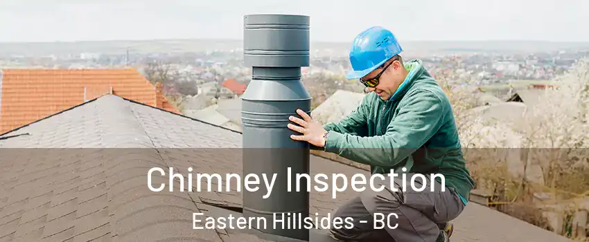 Chimney Inspection Eastern Hillsides - BC