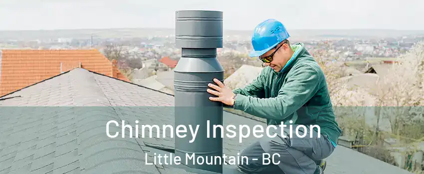  Chimney Inspection Little Mountain - BC