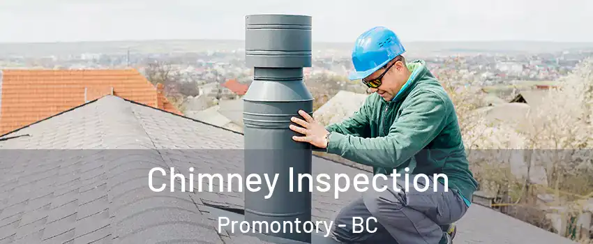 Chimney Inspection Promontory - BC