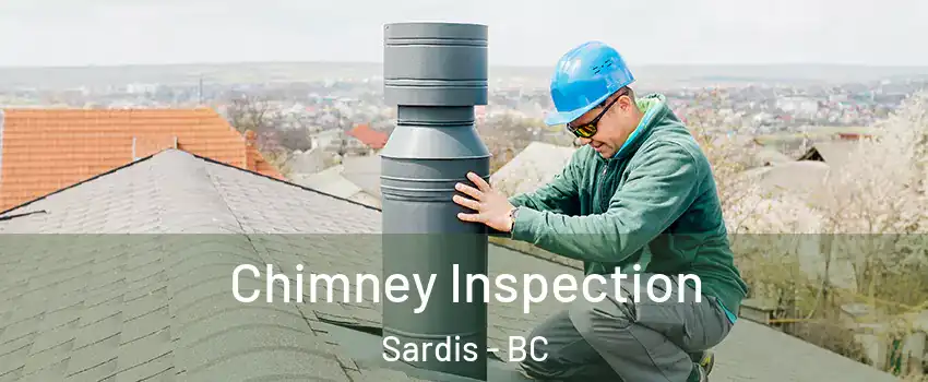 Chimney Inspection Sardis - BC