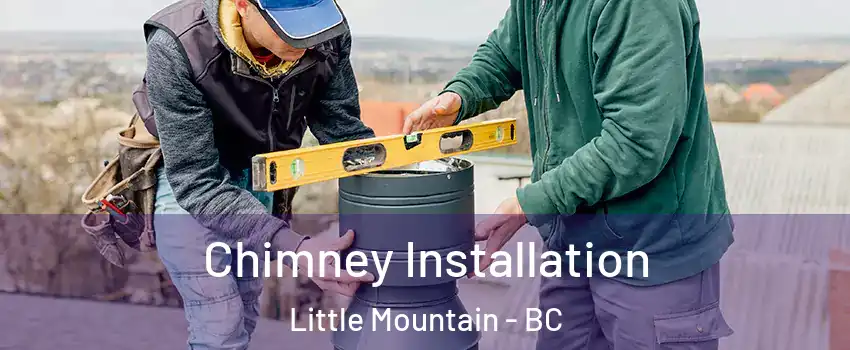 Chimney Installation Little Mountain - BC