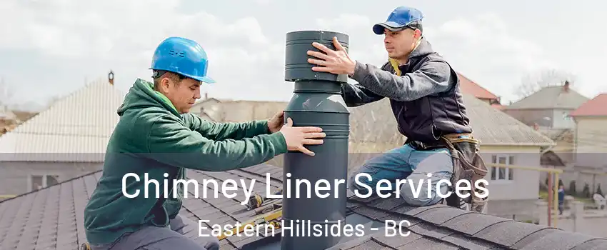 Chimney Liner Services Eastern Hillsides - BC